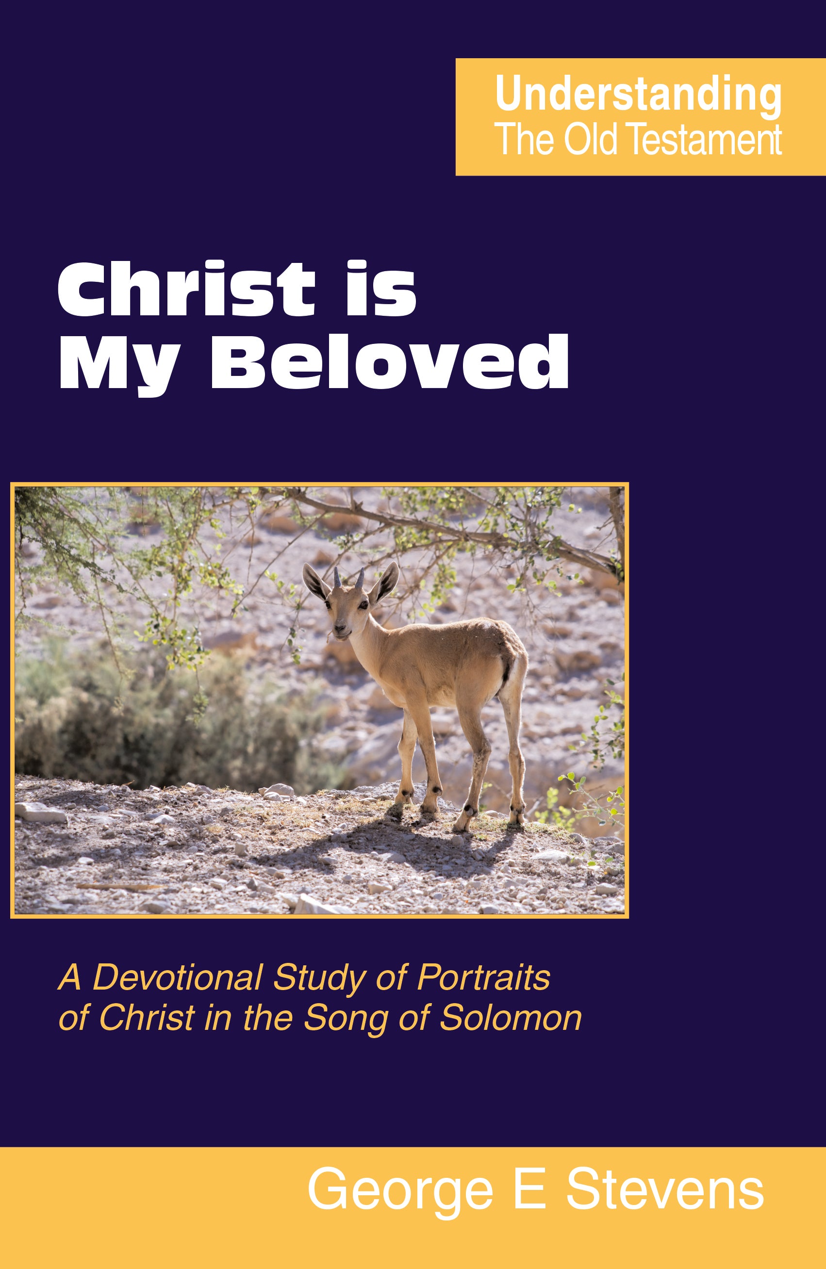 Christ is my Beloved